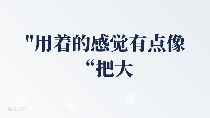 "用着的感觉有点像“把大模型塞进键盘里”，主打一个随时随地能用：截图一选、挑个语气、人设一切换，就能直接把回复上屏发出去