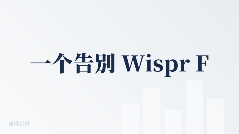 一个告别 Wispr Flow 转投「闪电说」之后的查评！
