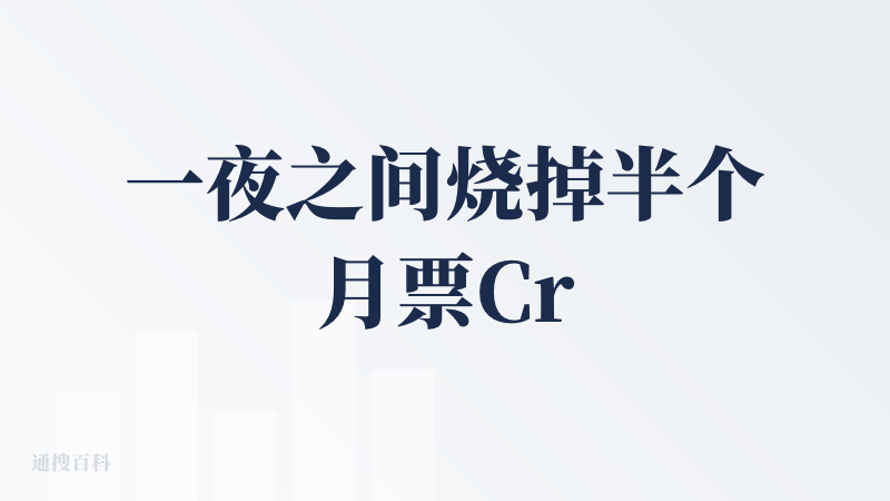 一夜之间烧掉半个月票Credits，感觉那个初见的Qoder又回来了