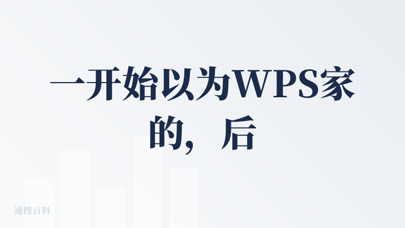 一开始以为WPS家的，后来才知道不是，但体验后发现，Pi主打快和方便，适合日常办公和协作。有小程序有小程序