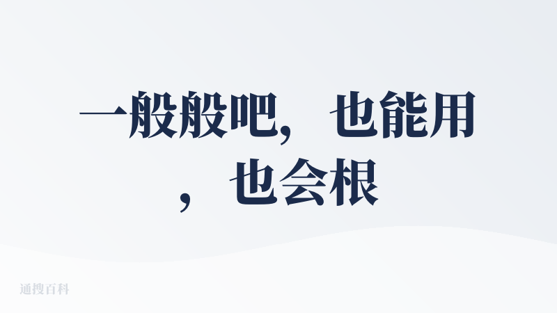 一般般吧，也能用，也会根据你的需求给你推荐菜品和饭店，但这些豆包deep seek也可以给你推荐，所以只能说能用。