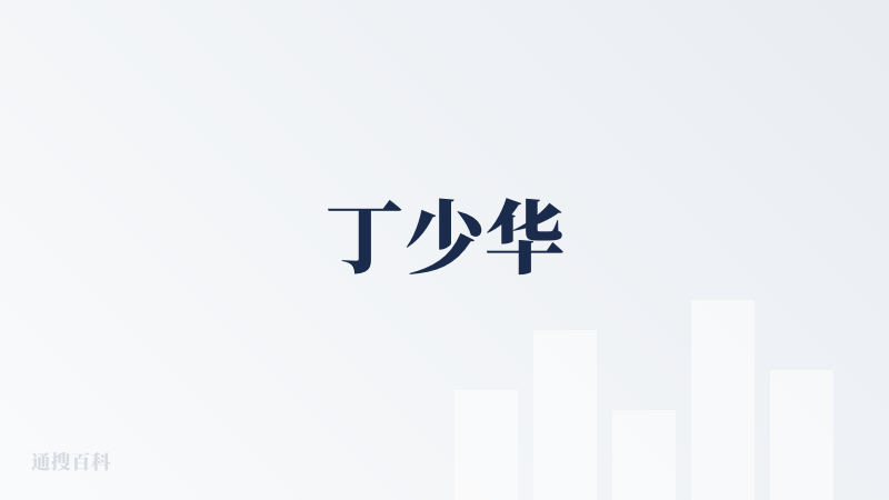 丁少华