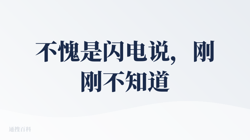 不愧是闪电说，刚刚不知道怎么网络波动，账号突然登了出去，把我差点写一半的查评一下子就没了，但还好此时闪电说的本地语音模型