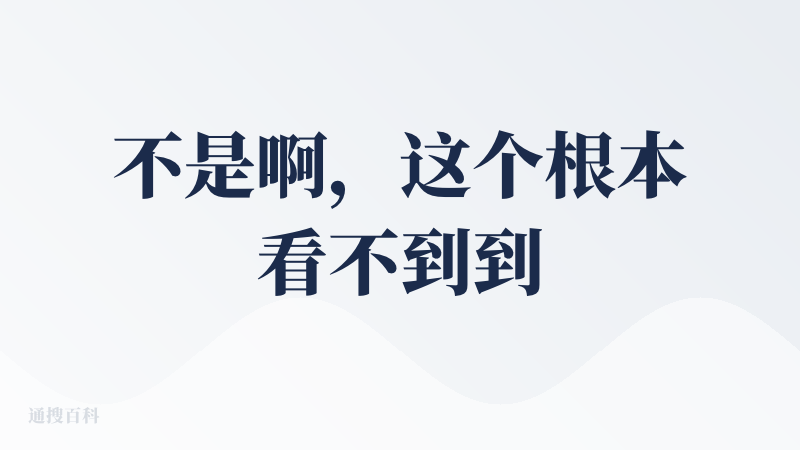 不是啊，这个根本看不到到底是什么样的模型，而且最主要是它生成的效果，根本就没有前端交互是怎么回事，唯一好的一点是在于它可