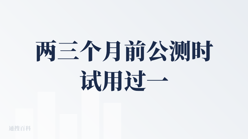 两三个月前公测时试用过一次，当时被他们无需邀请码的开放姿态吸引，用下来感觉相当不错。在我看来，这款产品其实是在AI co