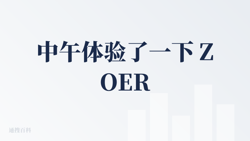 中午体验了一下 ZOER，由于每日体验积分有限，只体验到一个就没有积分可用了，第二个无法生成。现在很多 agent 都可