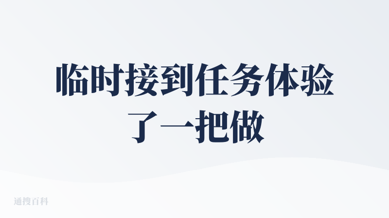 临时接到任务体验了一把做ppt，界面中文的；