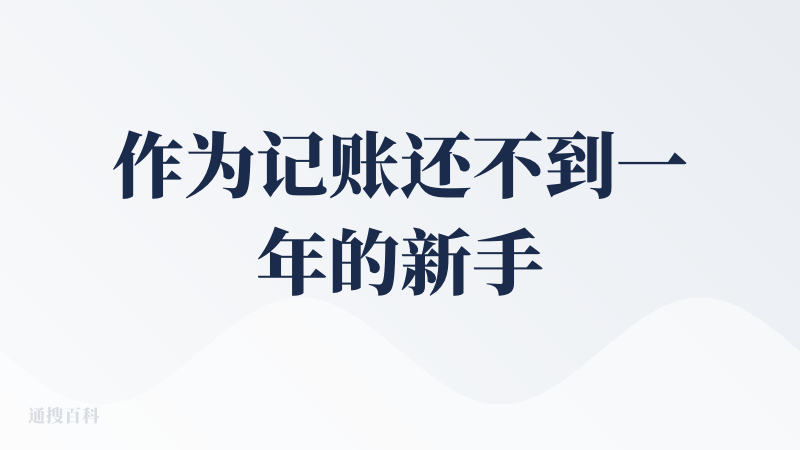 作为记账还不到一年的新手，浅浅查一下吧