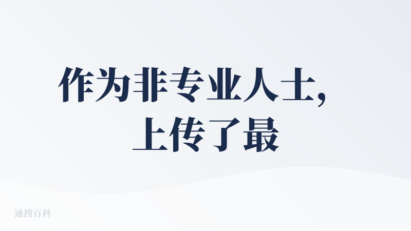作为非专业人士，上传了最近在审核的一份合同。
