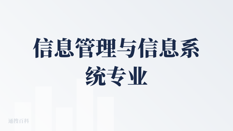 信息管理与信息系统专业