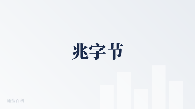 兆字节