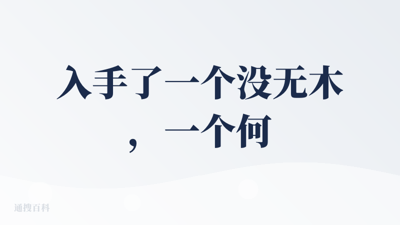 入手了一个没无木，一个何五喔。