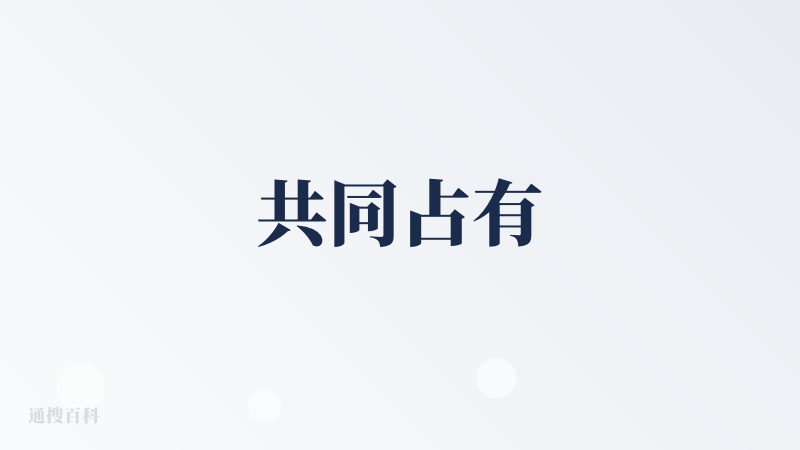 共同占有