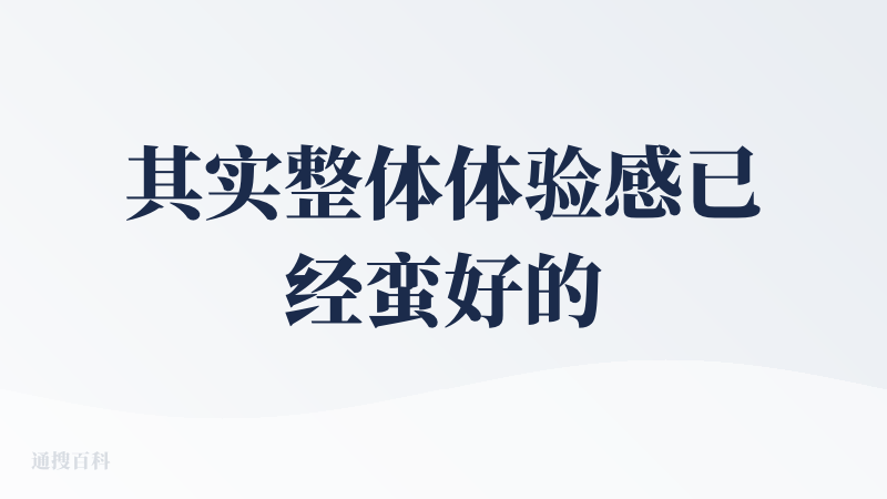 其实整体体验感已经蛮好的，但是还是差一点点（加油啊啊啊啊）！