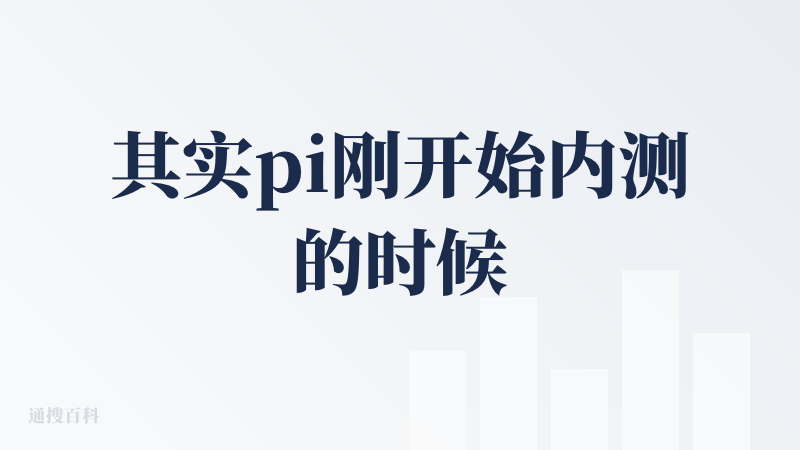 其实pi刚开始内测的时候我就用过pi了哈哈哈，不过之前用Gamma比较多，刚好Gamma没会员了来用用Pi，整体来说还是