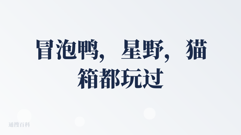 冒泡鸭，星野，猫箱都玩过，冒泡鸭吸引我的地方是记忆力优化后能较好记住我的对话内容，相比于其他的的超长记忆功能是吸引我继续