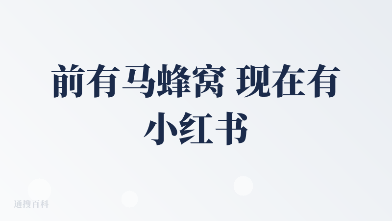 前有马蜂窝 现在有小红书，