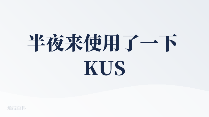 半夜来使用了一下 KUSE 2.0 版本，用的是Gemini3.0pro模型，首先我想说他们页面设计的真的挺好看，有种可