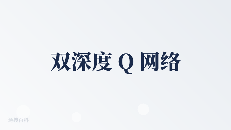 双深度 Q 网络