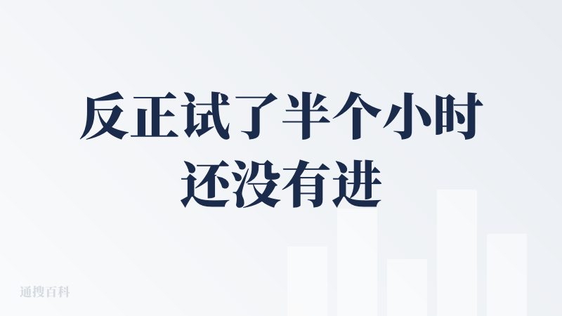 反正试了半个小时还没有进去，谷歌验证账号一直跳转不过去没有反应