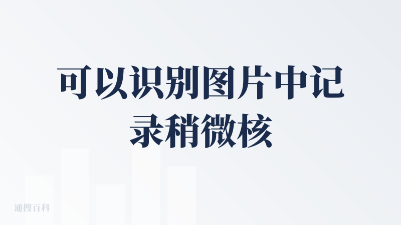 可以识别图片中记录稍微核对了一下没有什么错误，补缺前几天的收支情况很方便！不过每次只能上传四张图片，需要提供账单才可以记