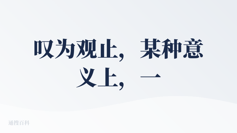 叹为观止，某种意义上，一些专业能力不够好的心理咨询师可能会因为“Metasight 元见”这样产品的普及而失业