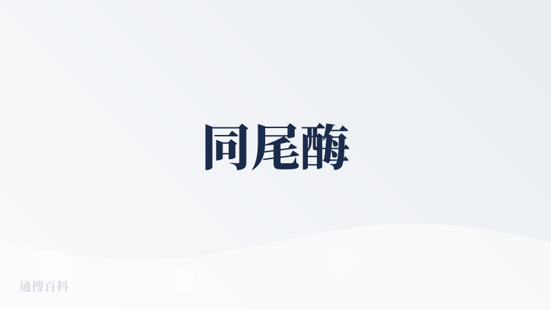 同尾酶