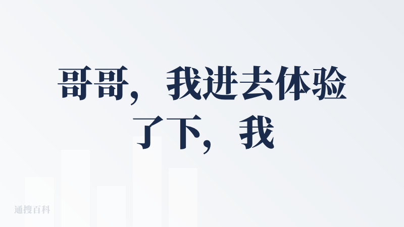哥哥，我进去体验了下，我觉得需要进一步完善以下几点