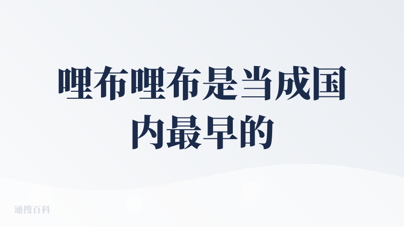 哩布哩布是当成国内最早的，也算最成功的SD线上平替版，一开始只可以文生图，图生图，后来随着SD的不断优化迭代，哩布哩布也