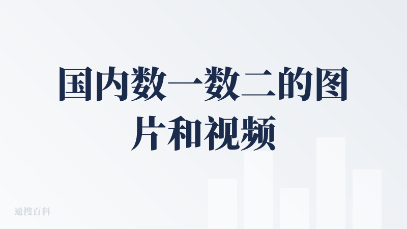 国内数一数二的图片和视频生成工具，现在各种各样的AI工具特别多，即梦是我觉得真正在生活和工作中也能实际应用上的工具。