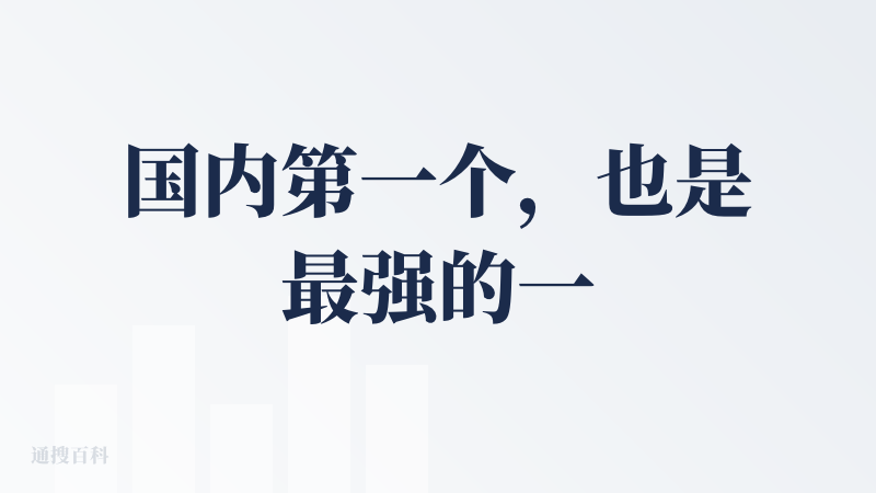 国内第一个，也是最强的一个AI浏览器，它的联网搜索机制（先思考再联网搜索100多条网页再精选其中20几条网页）我非常喜欢