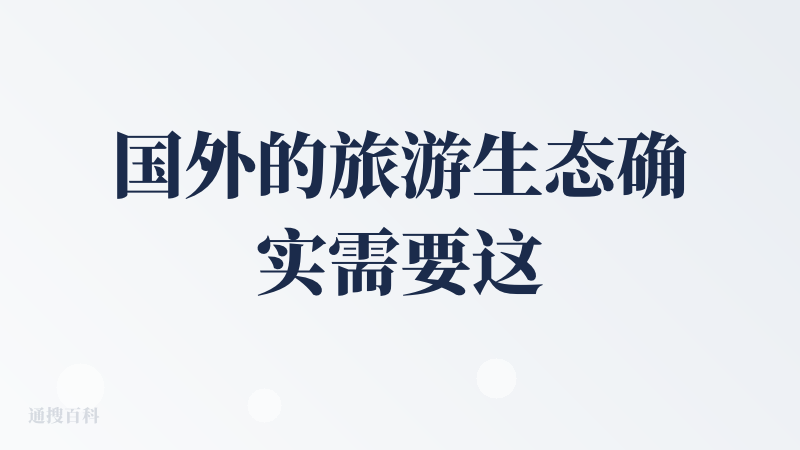 国外的旅游生态确实需要这样一个产品，可以根据预算帮你定制行程，IMean找机票确实很快，也帮我找到最低价的、下午出发的，