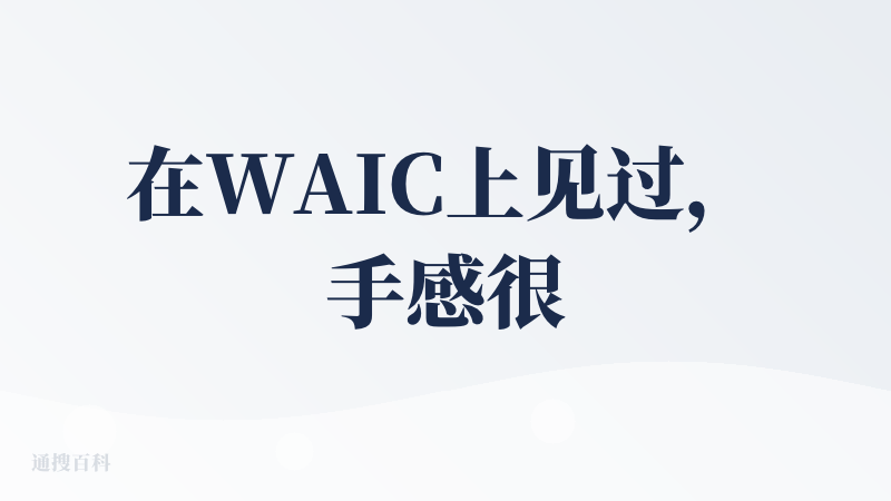在WAIC上见过，手感很好，眼睛做的很漂亮，作为陪伴类产品，外形就是第一生产力