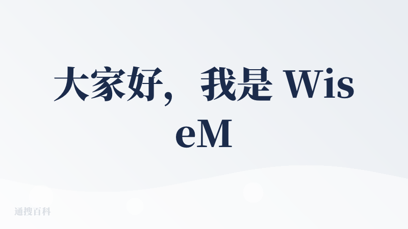 大家好，我是 WiseMindAI 的创始人 Chris，很开心能在降临派跟大家分享我的第一款 AI 产品。