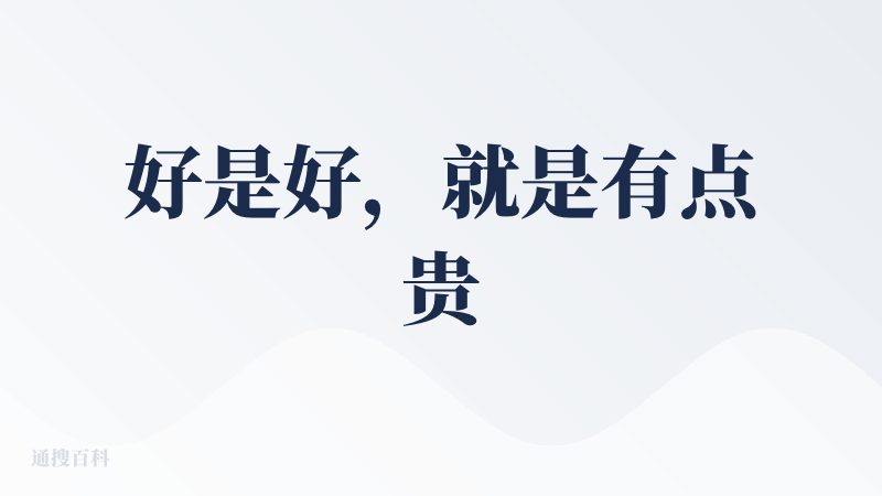 好是好，就是有点贵