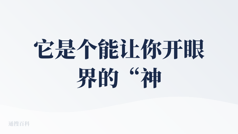 它是个能让你开眼界的“神奇玩具”，但目前还不是个趁手的“生产力工具”。