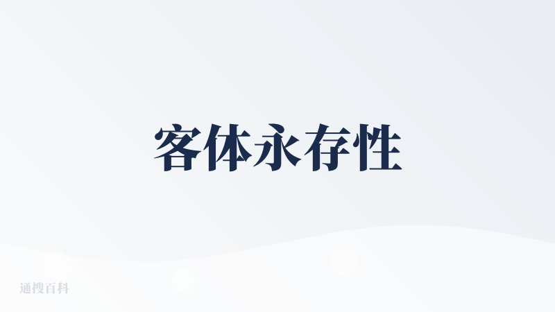 客体永存性