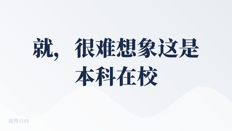 就，很难想象这是本科在校生能完成的一个产品