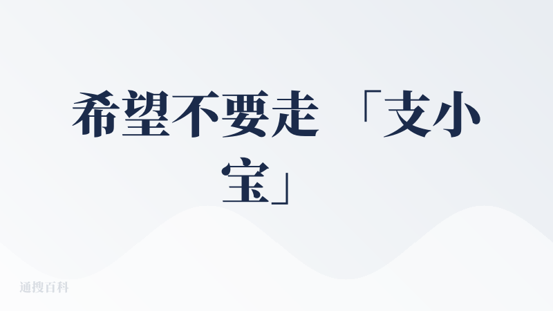 希望不要走 「支小宝」 的老路，不要重蹈覆辙。
