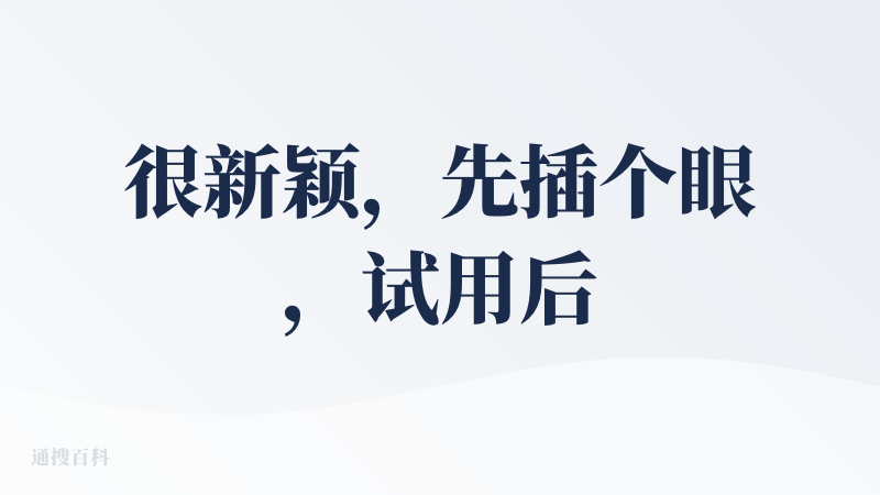 很新颖，先插个眼，试用后来更新