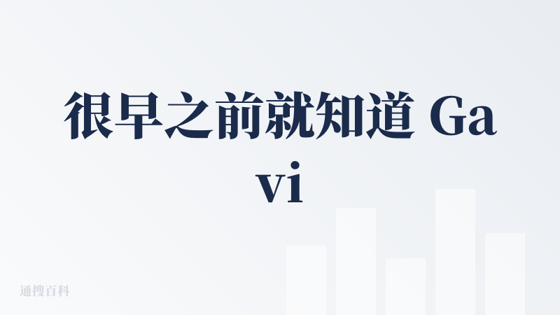 很早之前就知道 Gavin 老师在做智能工牌和麦当秀，当时 AI 做 PPT 的概念还没有完全普及，他们已经在探索 AI
