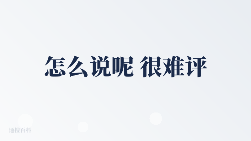 怎么说呢 很难评