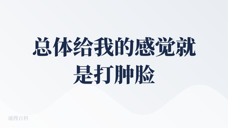 总体给我的感觉就是打肿脸充胖子