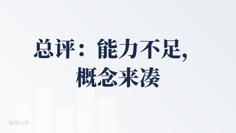 总评：能力不足，概念来凑
