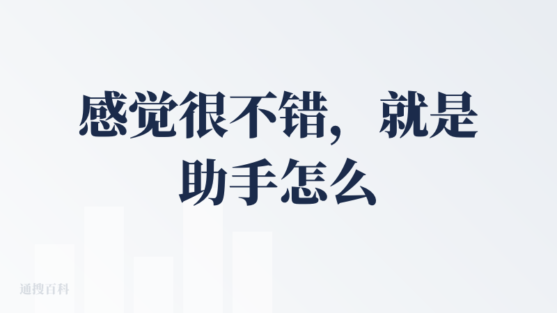 感觉很不错，就是助手怎么有点不智能