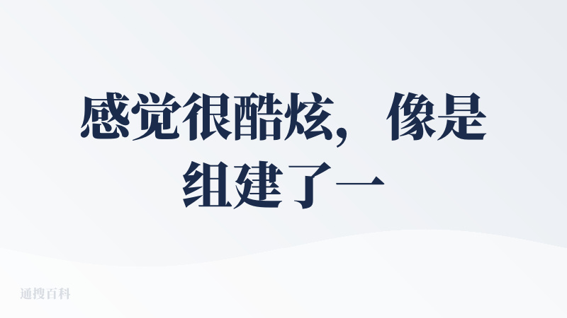 感觉很酷炫，像是组建了一支专业团队，各个角色都有，都是专家级，还有不同的分工。但真正需要构建任务后，感觉任务完成的效果不