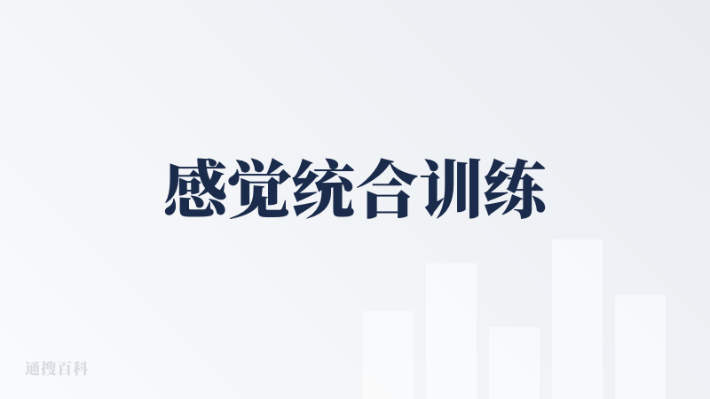 感觉统合训练