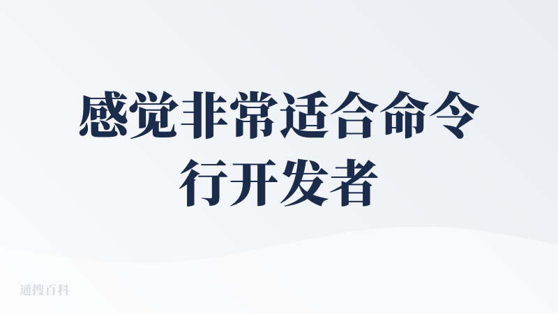 感觉非常适合命令行开发者使用：启动快、响应迅速，能在大型代码库中处理上下文，支持与 Zsh 等工具集成，安装门槛低，上手