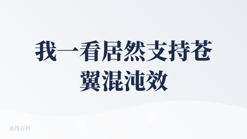 我一看居然支持苍翼混沌效应这么小众的游戏，赶紧就开始体验了，先说结论：这个东西我觉得很有市场，但是目前的逗逗在软件工程上