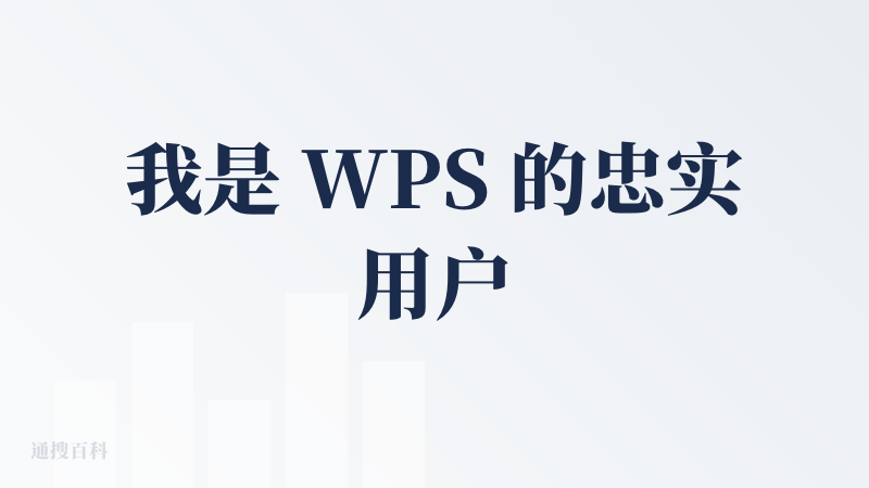 我是 WPS 的忠实用户了，今天也来测评一下啦。